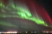 Reykjavik Northern Lights Evening Adventure Guided Tour 