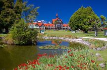 Ports of Tauranga/Rotorua/Tga - 6 Hours Rotorua Highlights Tour
