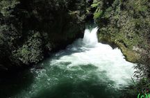 Ports of Tauranga/Rotorua/Tga - 6 Hours Rotorua Highlights Tour