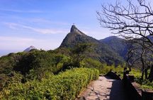 Rio Alternative Viewpoints - by Alan Denis