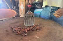 Taller de Cacao Todo Incluido

