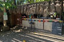 Taller de Cacao Todo Incluido
