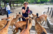 World Heritage Kyoto & Nara Uji Authentic Matcha Experience