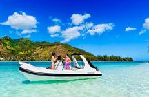 Moorea: Private 4-Hour High-End Boat Excursion