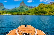 Moorea: Private 4-Hour High-End Boat Excursion