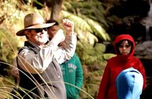 MPT - Blue Mountains Luxury Private tour