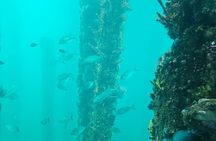 Busselton Jetty and Underwater Observatory