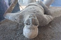 From Rome: Pompeii & Sorrento Day Trip with Colosseum Ticket