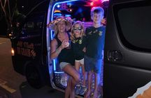 Private Party Bus Shared Tour in Singapore