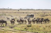 4 Day Safari Maasai Mara, Lake Nakuru and Lake Naivasha