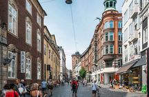 Copenhagen & Christiansborg Palace Private Walking Tour