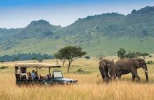4day Maasai Mara, Lake Nakuru, and Lake Naivasha
