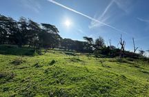 4day Maasai Mara, Lake Nakuru, and Lake Naivasha