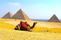 Half Day Adventure Pyramids Sphinx and Camel Safari