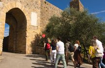 Medieval Tour in Monteriggioni and Val d'Orcia from Florence 