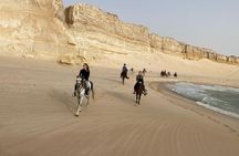 Dakhla Horse Ride Experience 