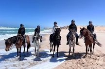 Dakhla Horse Ride Experience 