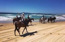 Beach Horse Riding Dubai with Transfers