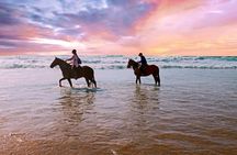 Beach Horse Riding Dubai with Transfers
