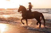 Beach Horse Riding Dubai with Transfers