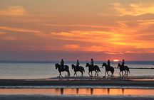 Beach Horse Riding Dubai with Transfers