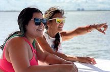 Dolphin Wildlife Cruise Fort Myers Beach