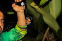 Night Tour La Fortuna