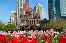 Private Half-Day Driving Tour of Boston and Cambridge