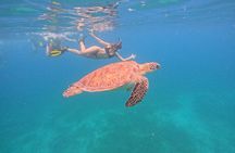  Culebra Swim with Turtles Adventure and Flamenco Beach by Ferry