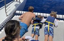 Turtle Snorkeling and Dole Plantation Guided Tour In Oahu