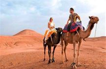 Dune Canyon Adventure with Camel Ride and Quad Bike