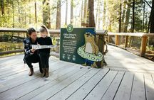 Vancouver City Tour Including Capilano Suspension Bridge