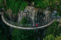 Vancouver City Tour Including Capilano Suspension Bridge