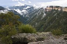 MPT - Blue Mountains Luxury Private tour