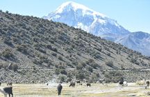 Multi-Day Tour Experience in Sajama & Uyuni