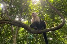 Crocodiles and Monkeys Tour to the Coast