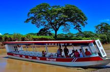 Crocodiles and Monkeys Tour to the Coast