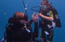 DISCOVER Scuba Diving Experience in Honolulu