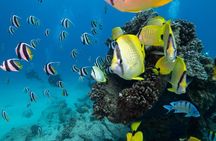 DISCOVER Scuba Diving Experience in Honolulu