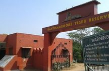 Jaipur to Ranthambore Day Trip with Tiger Safari