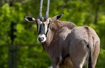 3 Days 2 Nights Samburu National Reserve Private Safari Package