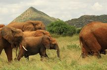 3 Days 2 Nights Samburu National Reserve Private Safari Package