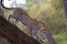 3 Days 2 Nights Samburu National Reserve Private Safari Package
