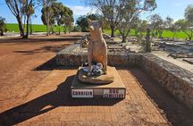 Day Tour in Wave Rock and Mulka's Cave