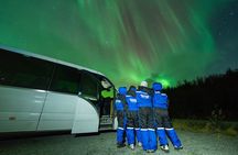 Northern Lights Tour & Arctic Experience - more than just a chase