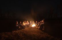 Northern Lights Tour & Arctic Experience - more than just a chase