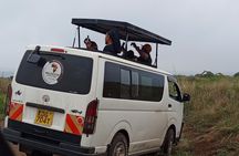 Nairobi National Park Half Day Game Drive Tour With Free WIFI