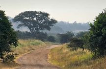 Half day Nairobi National Park Guided 4x4 Safari with Free Pickup