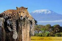 Full Day Tour to Mount Kenya