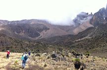 Full Day Tour to Mount Kenya